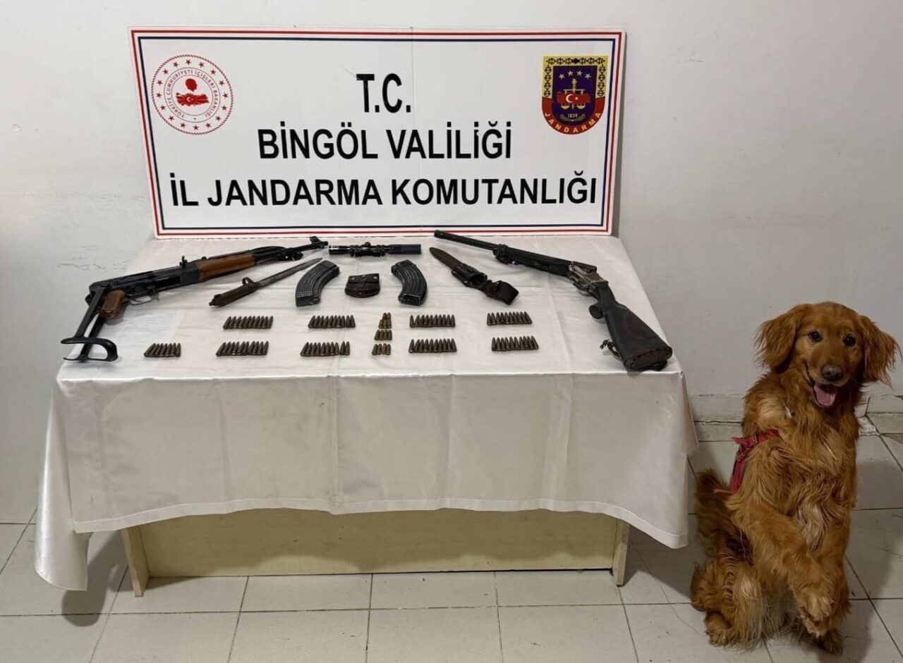 BİNGÖL (AA) – Bingöl'ün Karlıova ilçesi kırsalında bir evde silah