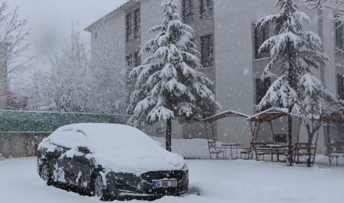 BİNGÖL (AA) – Bingöl'ün Karlıova ilçesi yağan karla beyaza büründü.