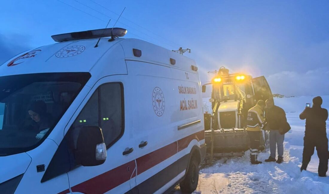 BİTLİS (AA) – Bitlis'in Adilcevaz ilçesinde, kar ve tipi nedeniyle