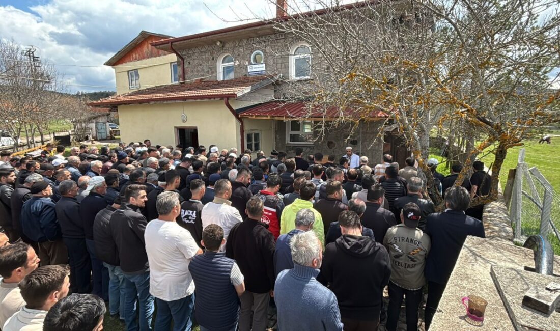 BOLU (AA) – Bolu'nun Gerede ilçesinde annesi tarafından öldürülen 2