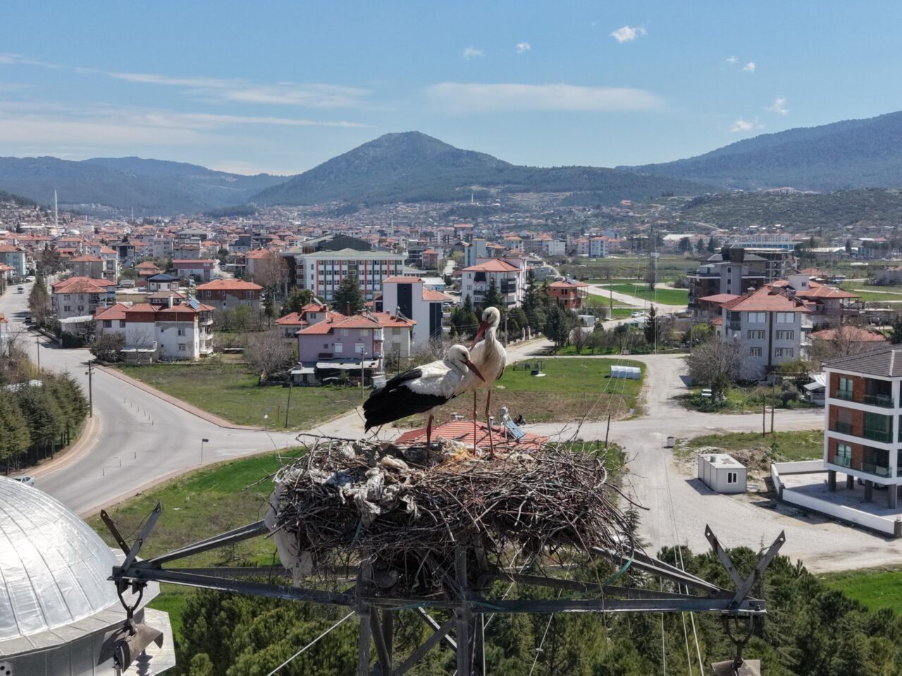 BURDUR (AA) – Burdur'un Bucak ilçesine gelen leylekler, 30 yıldır
