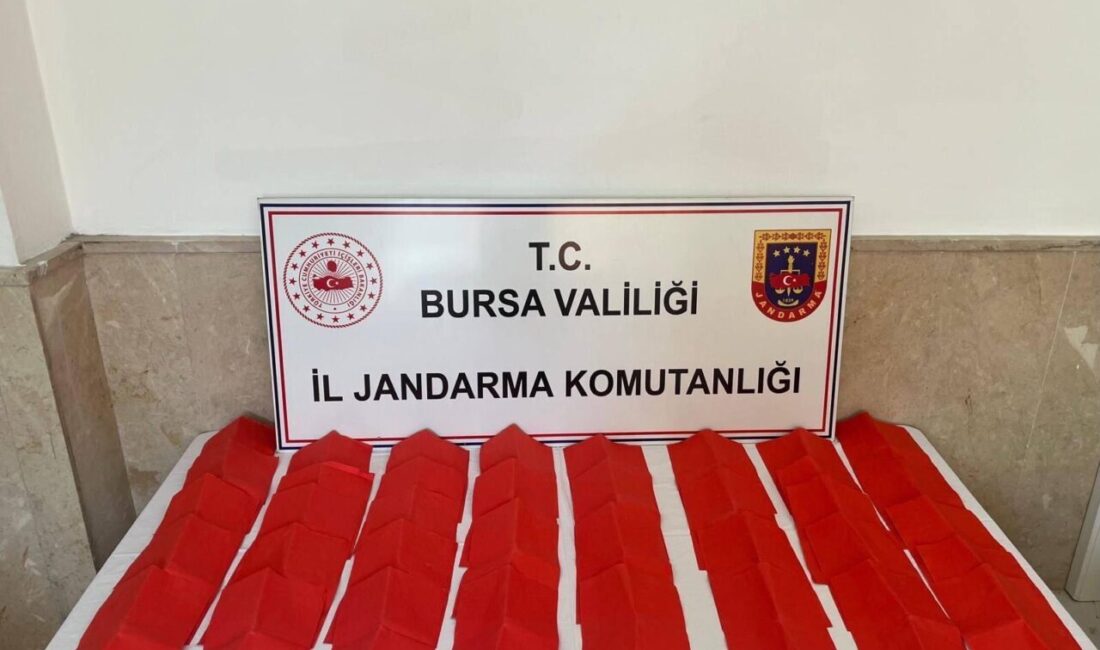 BURSA (AA) – Bursa'da A4 boyutundaki kağıtlara emdirilmiş sentetik uyuşturucu