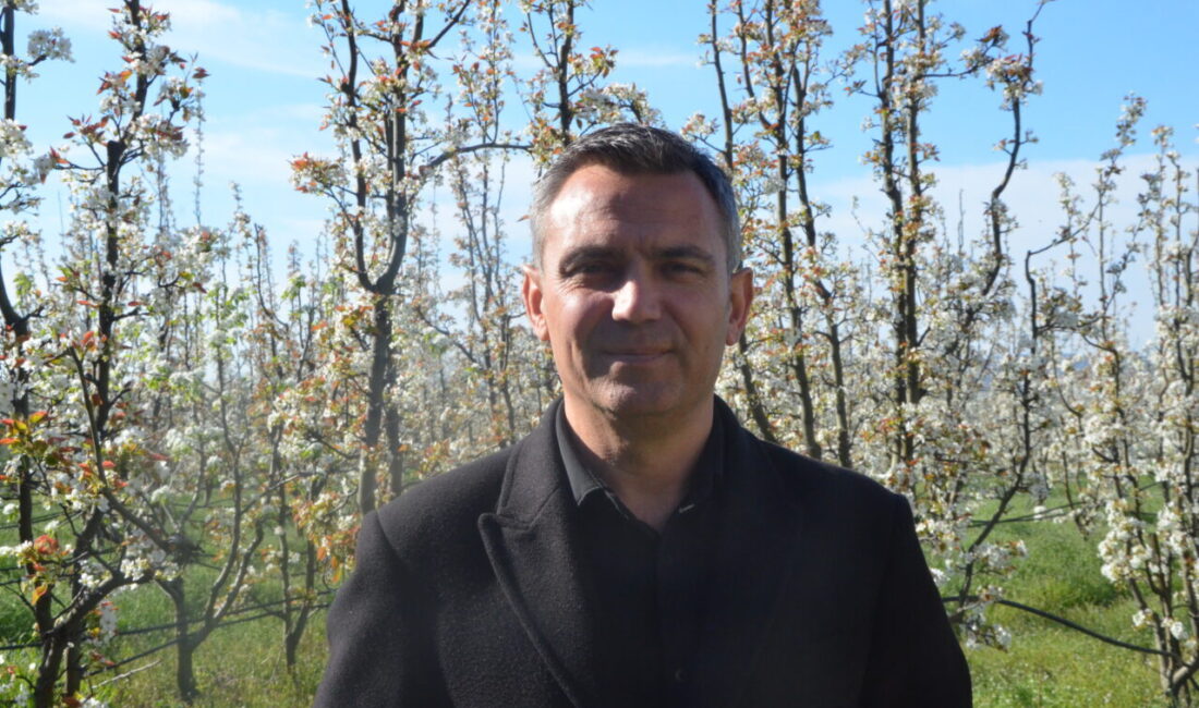 BURSA (AA) – Bursa'nın İnegöl ilçesinde havaların ısınmasıyla meyve ağaçları