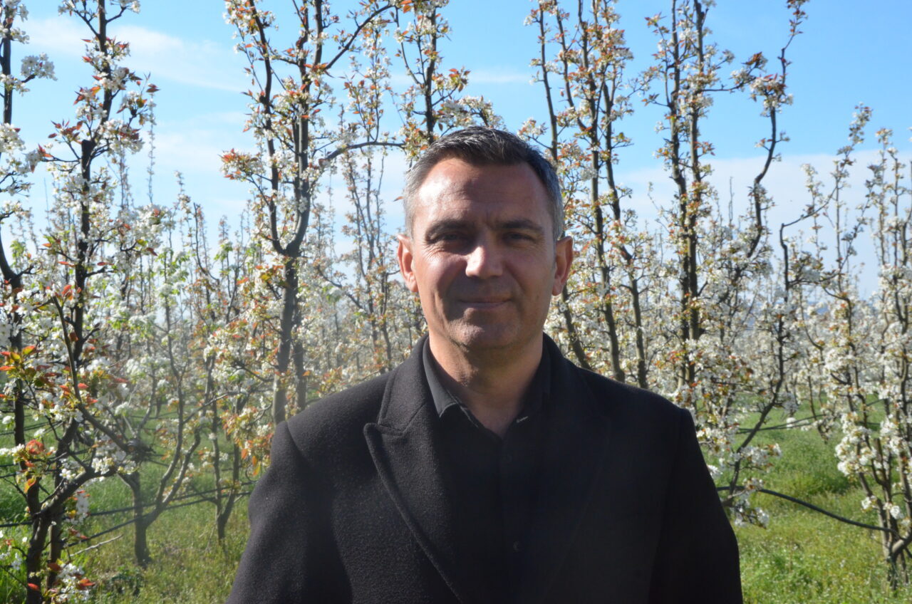 BURSA (AA) – Bursa'nın İnegöl ilçesinde havaların ısınmasıyla meyve ağaçları