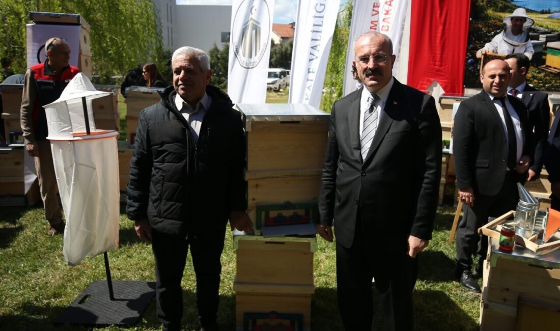 ÇANAKKALE (AA) – Çanakkale'de geçen yıl çıkan orman yangınlarında zarar