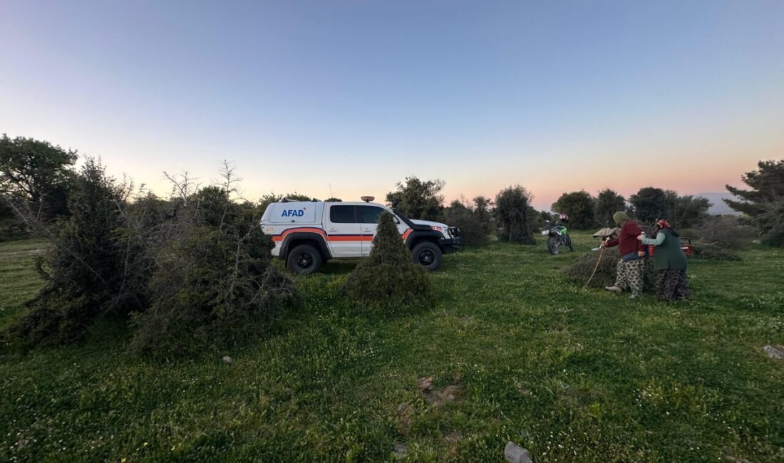 ÇANAKKALE (AA) – Çanakkale'nin Ayvacık ilçesinde odun toplamak amacıyla gittiği