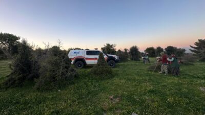 ÇANAKKALE (AA) – Çanakkale'nin Ayvacık ilçesinde odun toplamak amacıyla gittiği