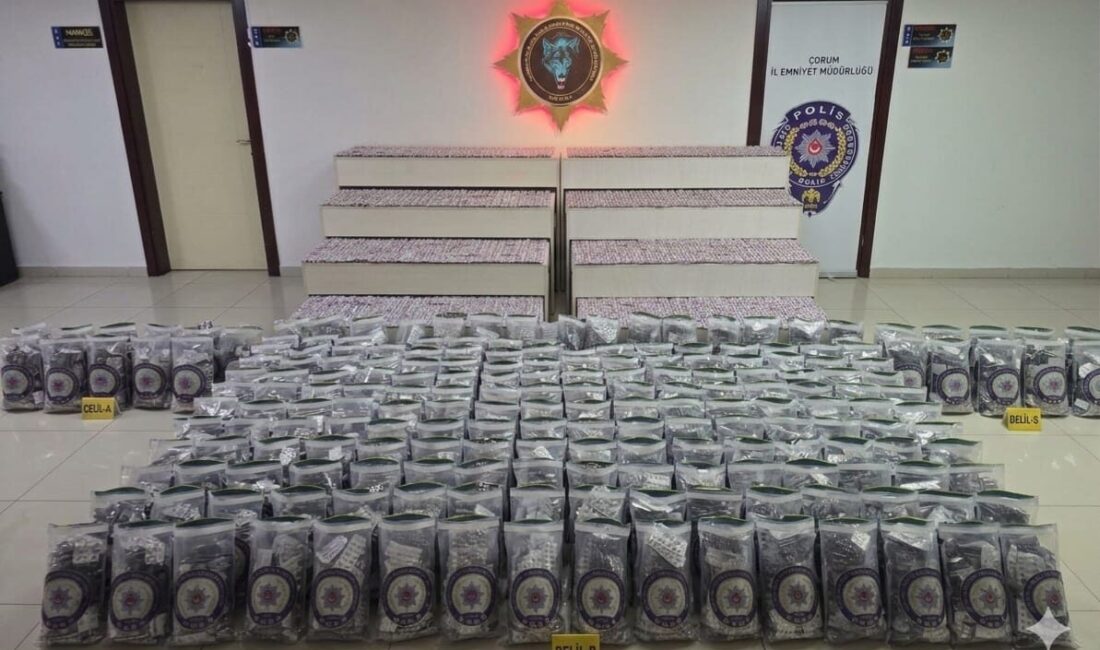 ÇORUM (AA) – Çorum'da düzenlenen narkotik operasyonda 249 bin 424