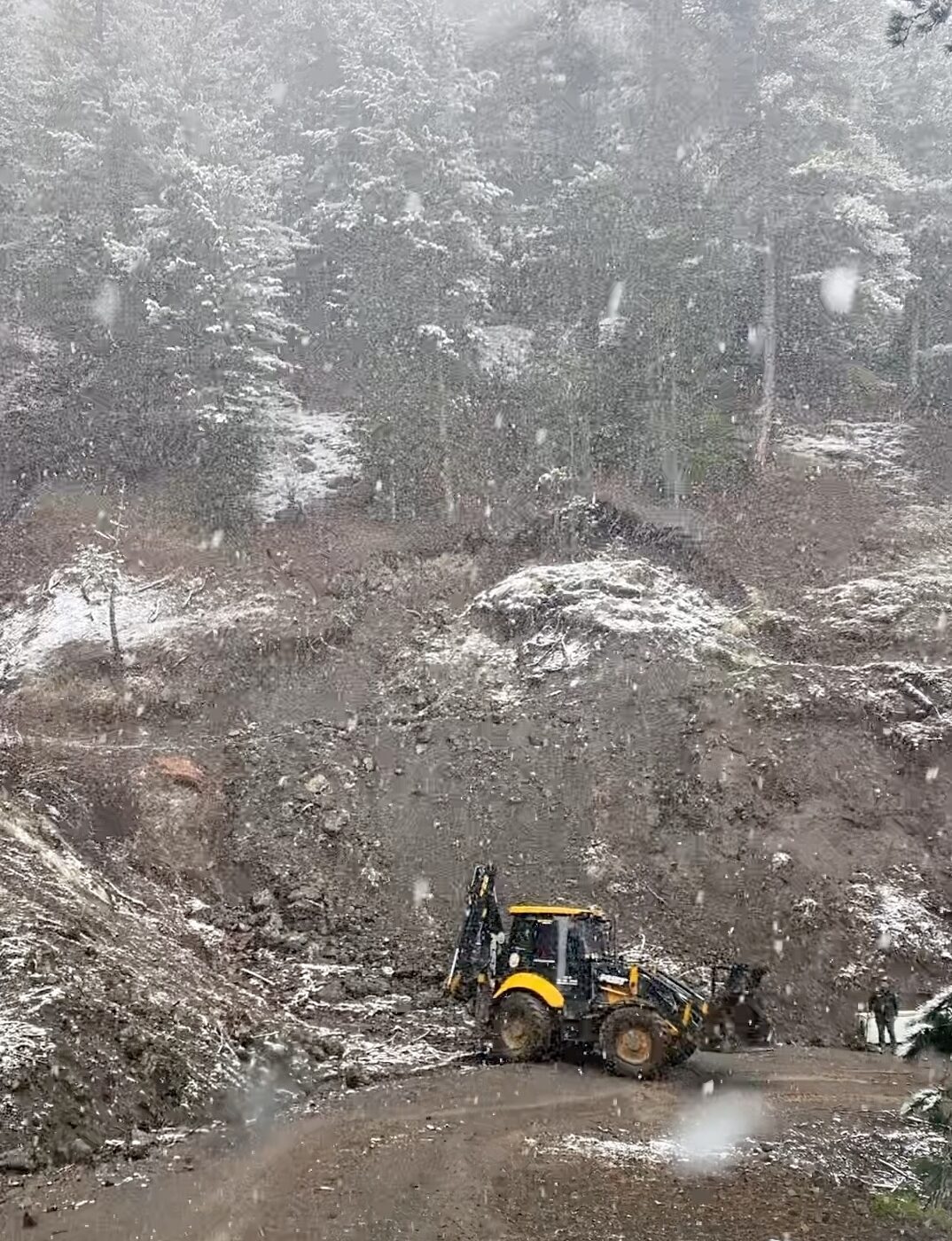 ÇORUM (AA) – Çorum'un Bayat ilçesindeki yüksek kesimlerde nisan ayında