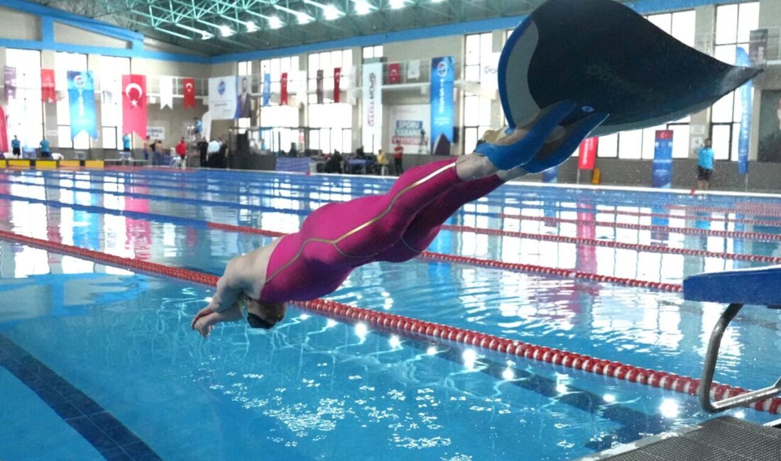 ELAZIĞ (AA) – Elazığ'da düzenlenen Cumhurbaşkanlığı Kupası Paletli Yüzme Kulüplerarası