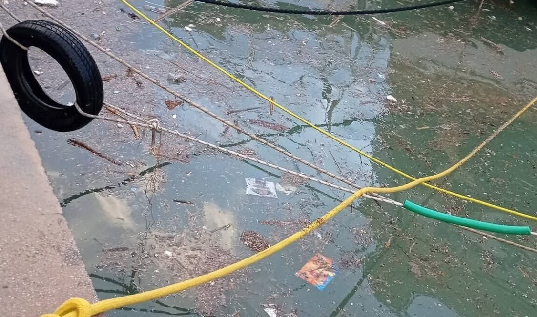 MUĞLA (AA) – Muğla'nın Datça ilçesinde etkili olan şiddetli fırtına,