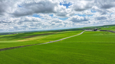- Tarım ve Orman İl Müdürü Adil Alan:
- "Geçen yıl