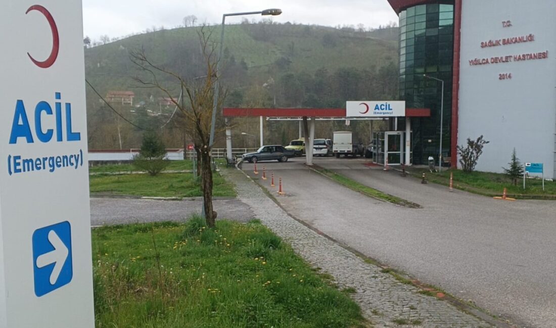 DÜZCE (AA) – ​Düzce'nin Yığılca ilçesinde karbonmonoksit gazından zehirlendiği değerlendirilen