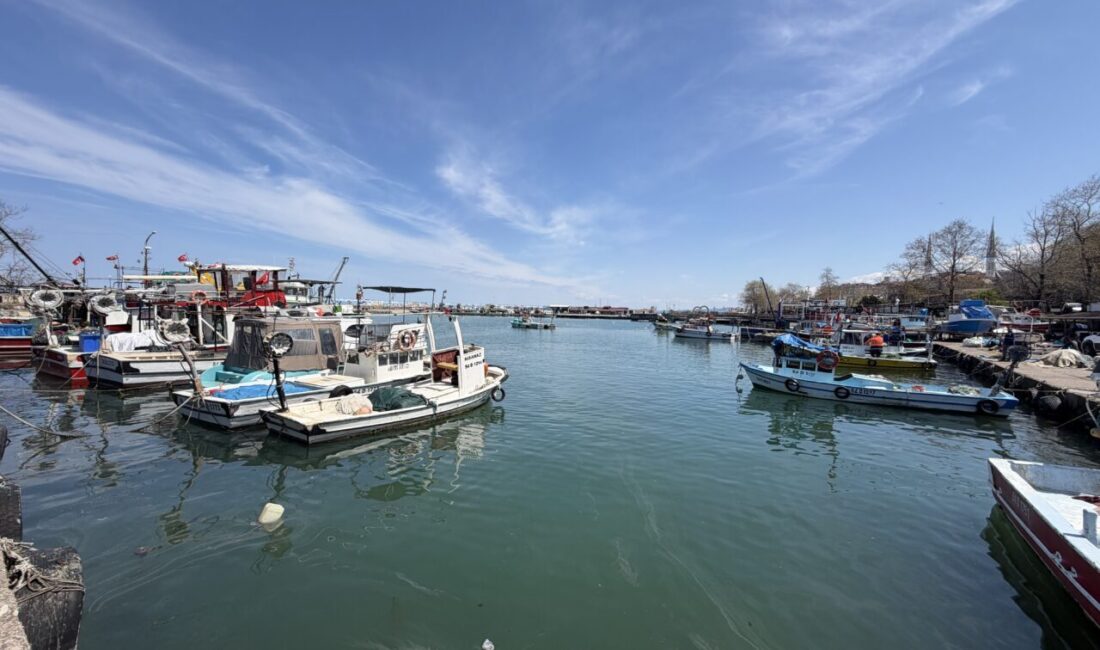 - Akçakoca Su Ürünleri Kooperatifi Başkan Yardımcısı Çağlar Çağdaş Özer:
-