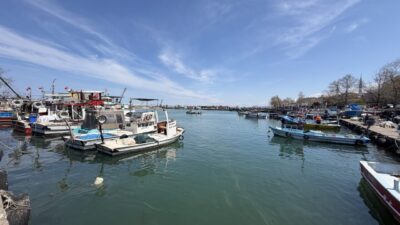 - Akçakoca Su Ürünleri Kooperatifi Başkan Yardımcısı Çağlar Çağdaş Özer:
-