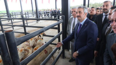 - Vali Yunus Sezer:
- "Daha modern tesislerde üreticimize daha iyi