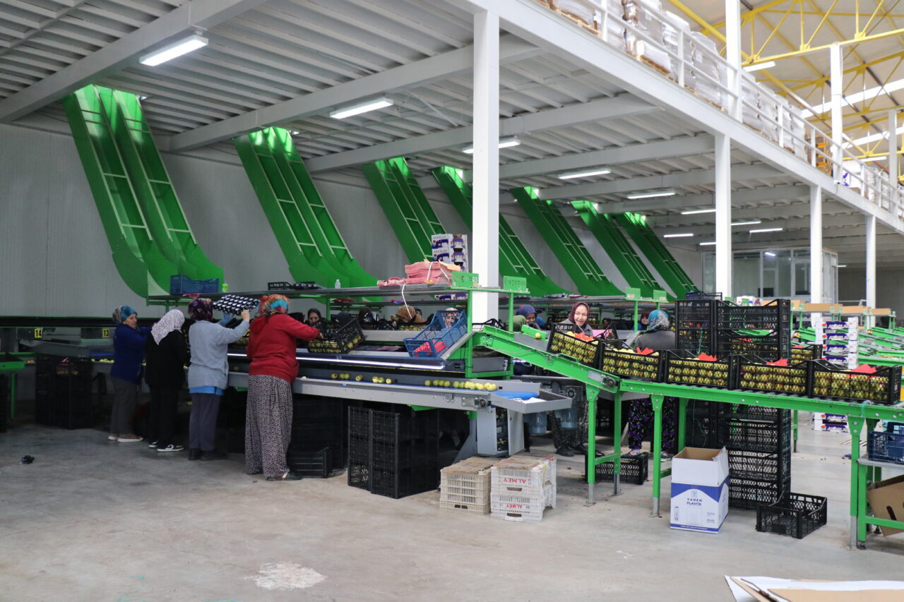 ISPARTA (AA) – Türkiye'de elma üretiminin en fazla yapıldığı illerin