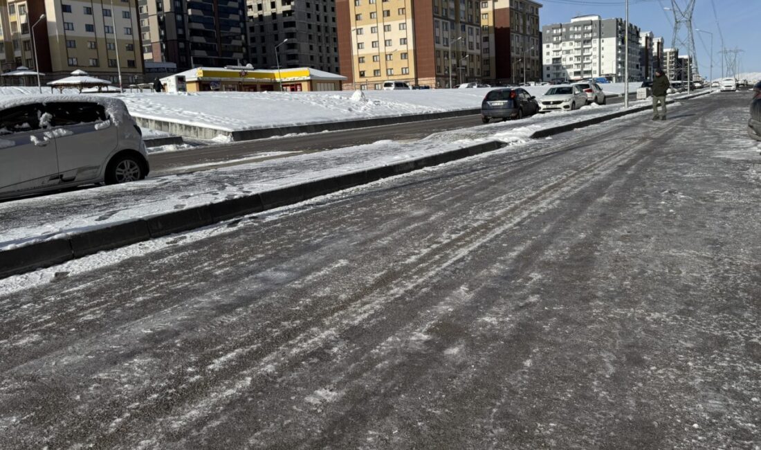 ERZURUM (AA) – Erzurum, Ardahan ve Kars'ta kar yağışının ardından