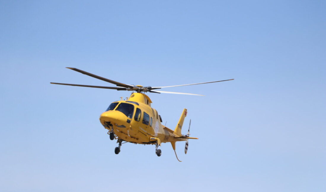 ERZURUM (AA) – Erzurum'un Çat ilçesinde arazi anlaşmazlığı nedeniyle çıkan