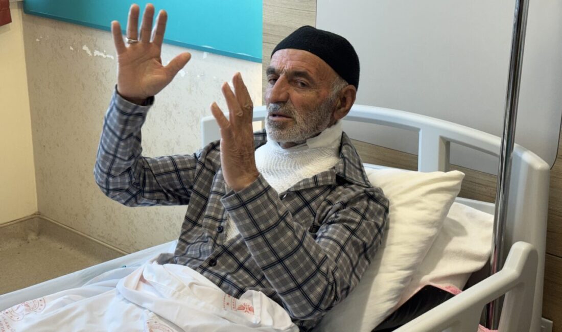 - Boynu, sırtı, göğsü ve vücudunun farklı yerlerinde 2 .