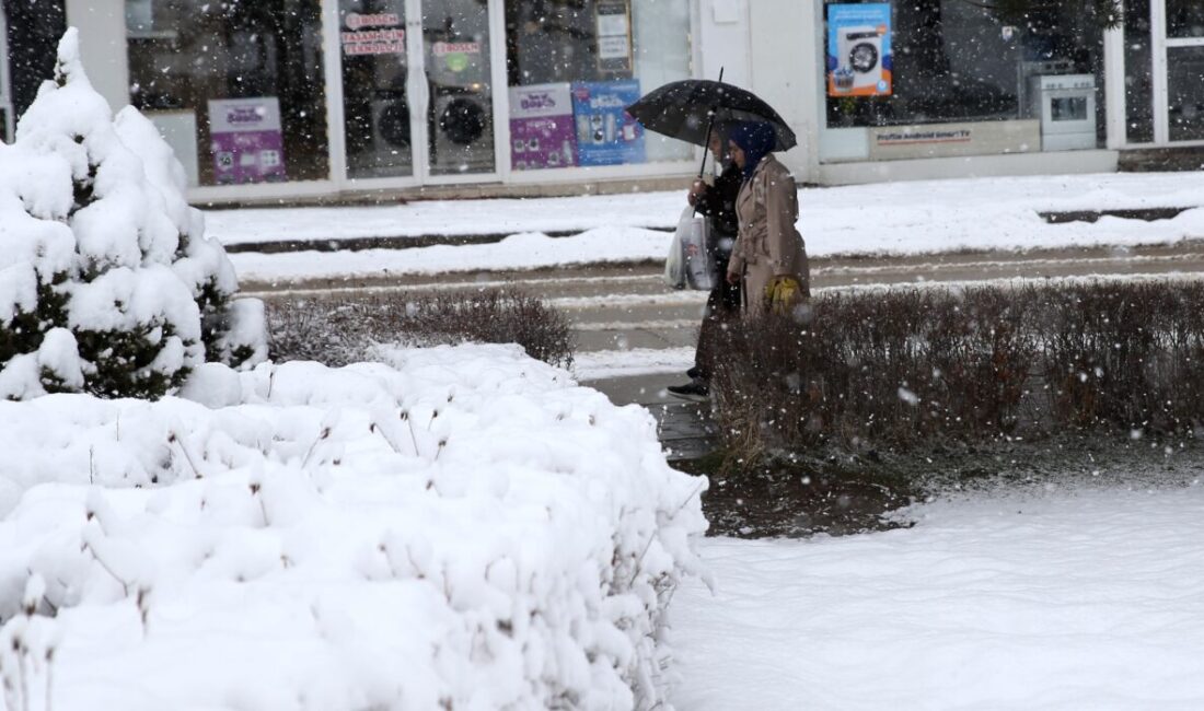 ERZURUM (AA) – Erzurum, Kars, Ardahan ve Tunceli'de ilkbaharda kar
