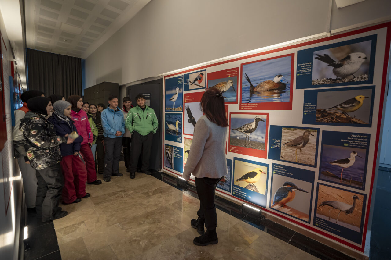 - Atatürk Üniversitesi Biyoçeşitlilik Bilim Müzesi’ndeki tıbbi bitkiler ve nesli