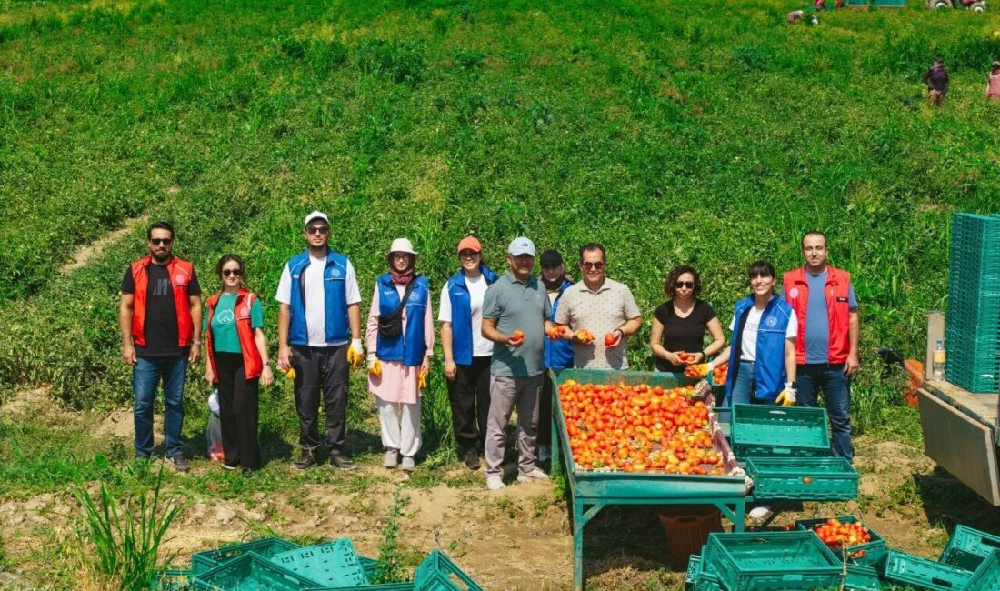 - Artvin'de çay hasadıyla başlayacak etkinlikler Burdur'da fide dikimi, Mersin'de