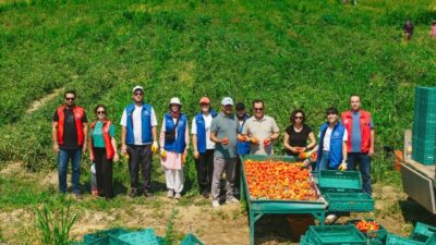 - Artvin'de çay hasadıyla başlayacak etkinlikler Burdur'da fide dikimi, Mersin'de