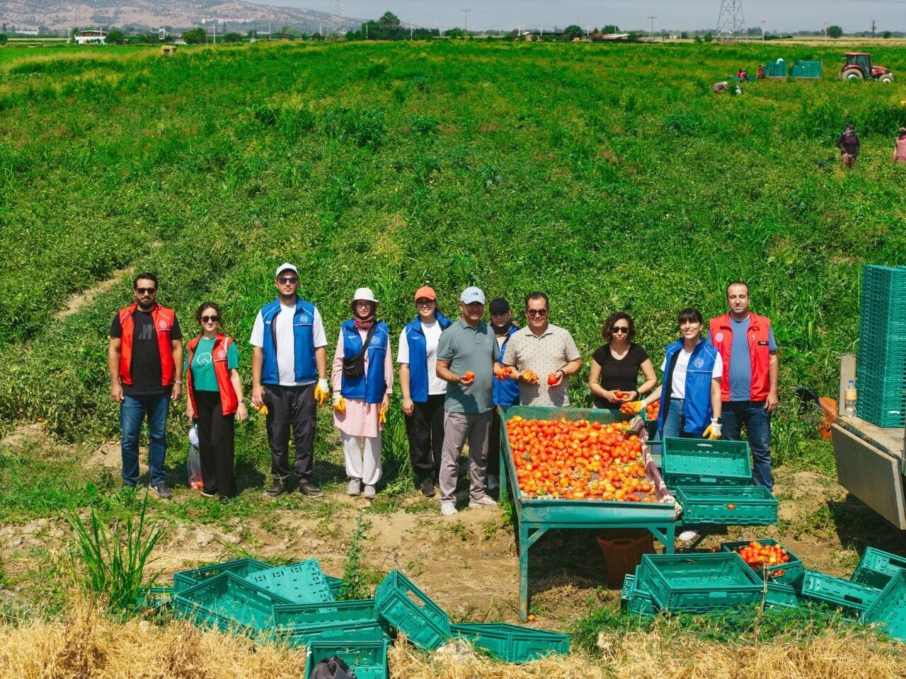 - Artvin'de çay hasadıyla başlayacak etkinlikler Burdur'da fide dikimi, Mersin'de