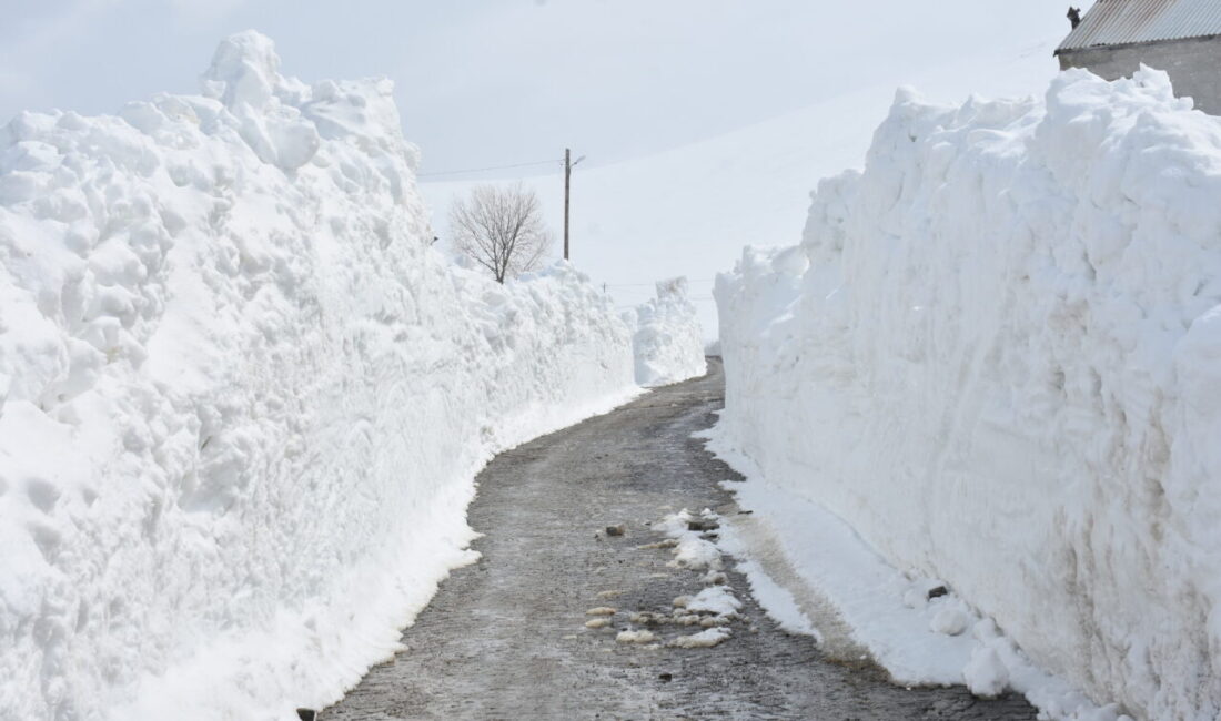 GÜMÜŞHANE (AA) – Gümüşhane'nin yüksek kesimlerinde İl Özel İdaresi ekiplerince