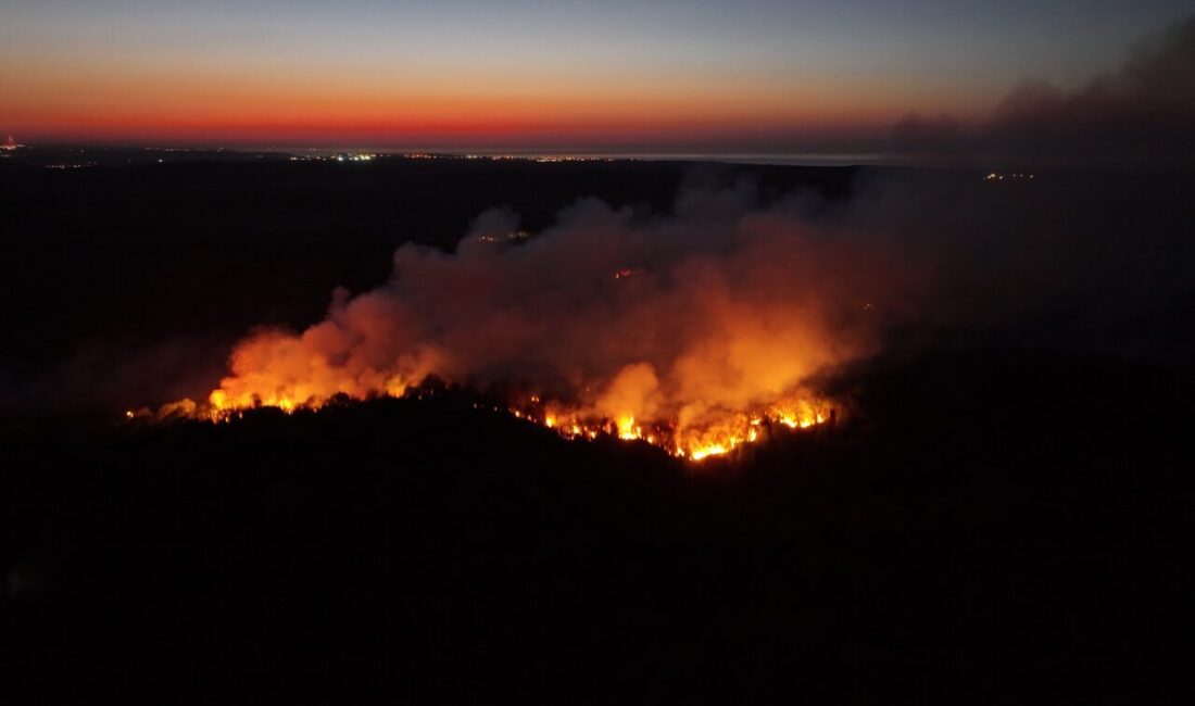 - Beykoz Belediye Başkan Vekili Özlem Vural Gürzel:
- "İstanbul İtfaiyemizin