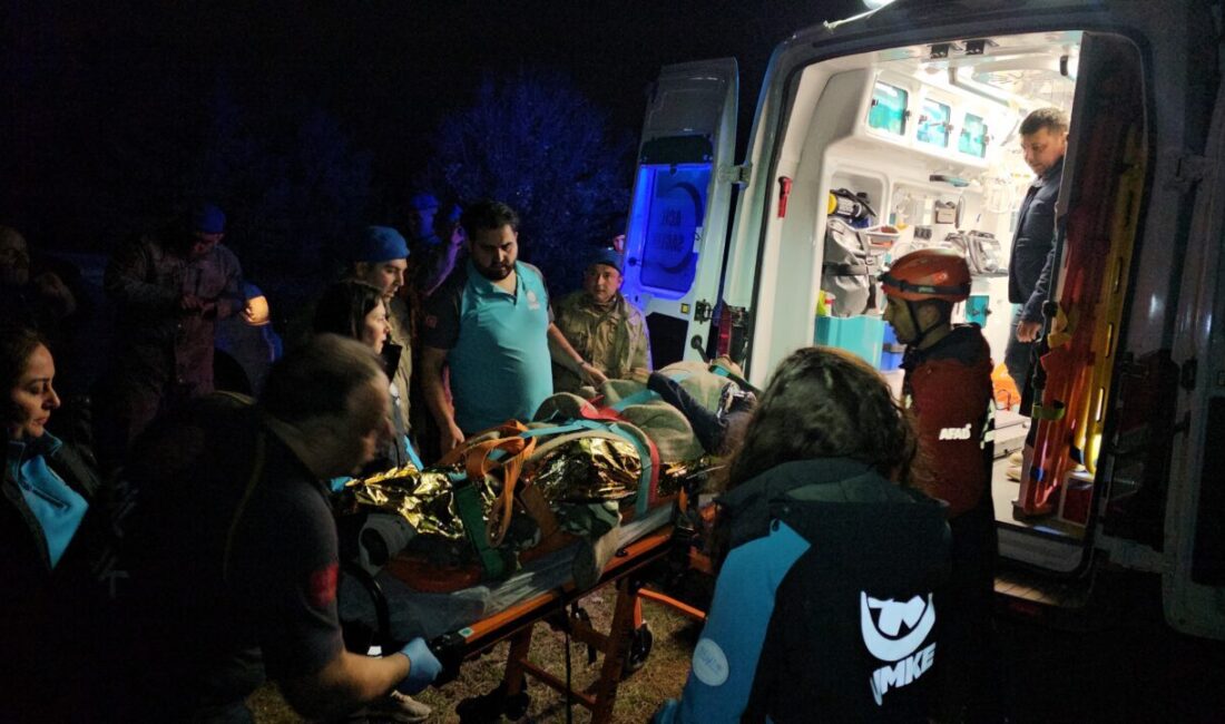 ÇORUM (AA) – Çorum'da mantar toplamak için gittiği ormanlık alanda