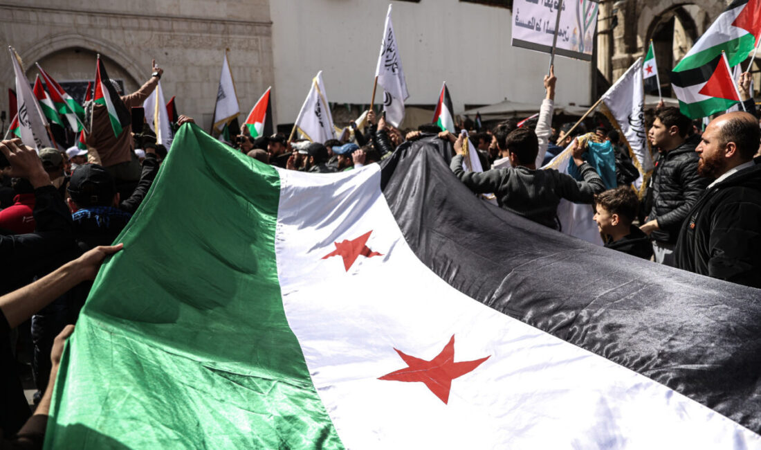 - GÖSTERİYE KATILANLARIN RÖPORTAJLARI EKLENDİ