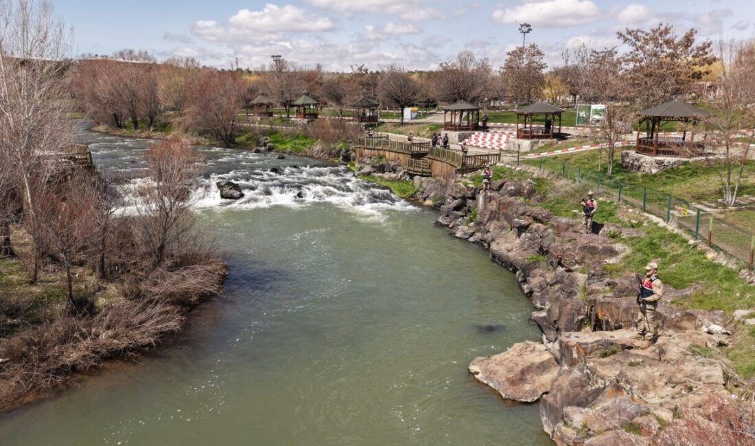 VAN (AA) – Van'da güvenlik güçleri, Van Gölü'nde yaşayan ve