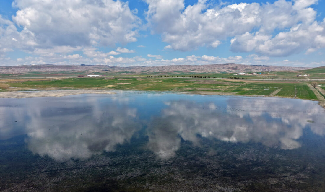 SİVAS (AA) – Sivas'ın Hafik ilçesinde geçen yıllarda tamamen kuruyan