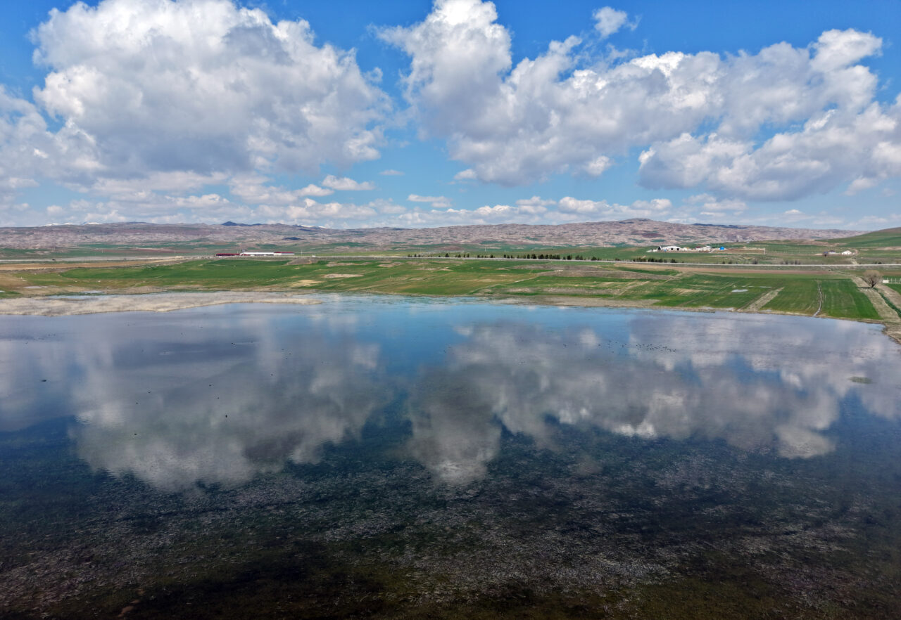 SİVAS (AA) – Sivas'ın Hafik ilçesinde geçen yıllarda tamamen kuruyan