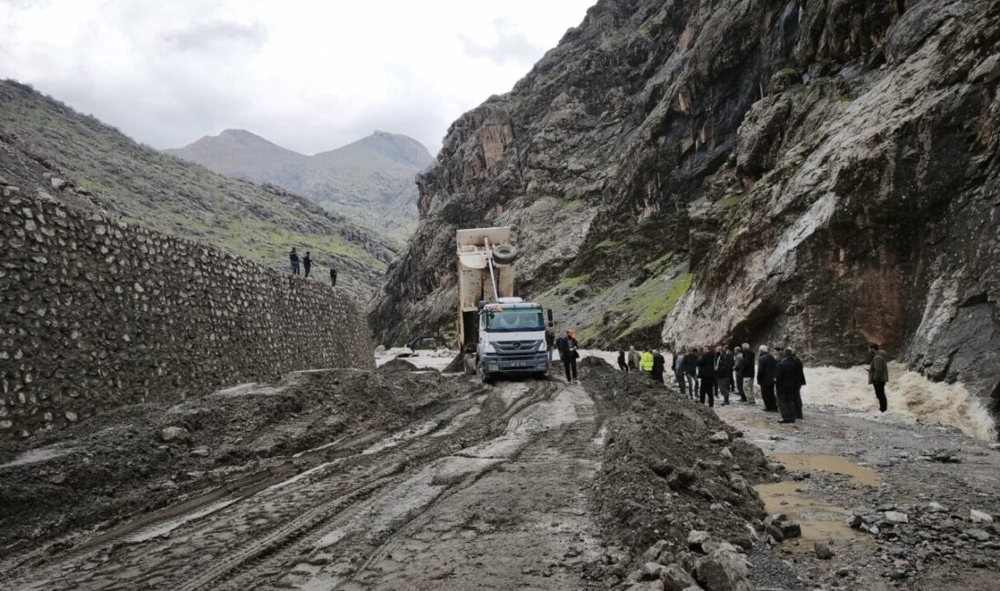 HAKKARİ (AA) – Hakkari merkez, Yüksekova ve Şemdinli ilçelerinde etkili