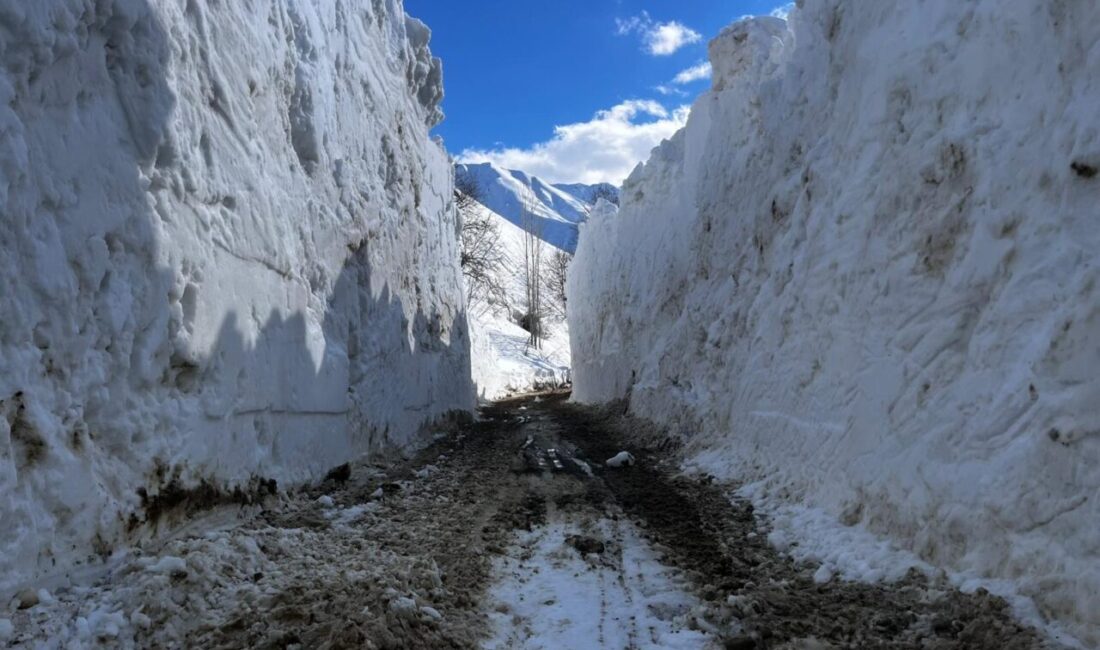 HAKKARİ (AA) – Hakkari'nin Yüksekova ilçesinde kapalı köy yolunun açılması