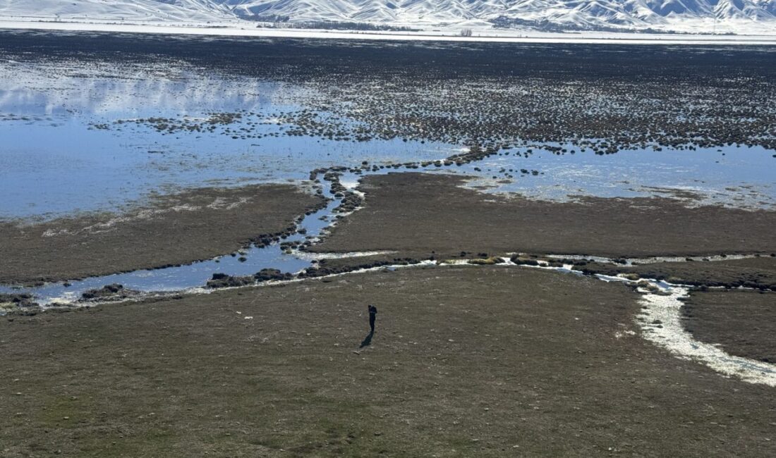 HAKKARİ (AA) – Hakkari'nin Yüksekova ilçesinde bulunan Nehil Sazlığı'ndaki su