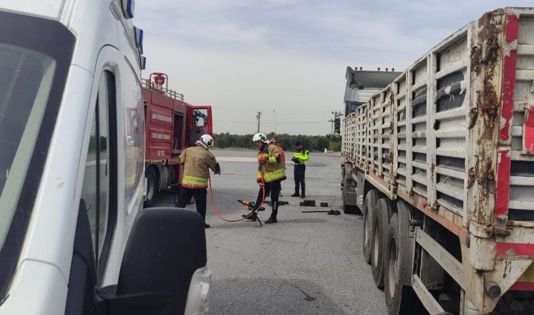 HATAY (AA) – Hatay'ın Erzin ilçesinde tamir etmek istediği tırın