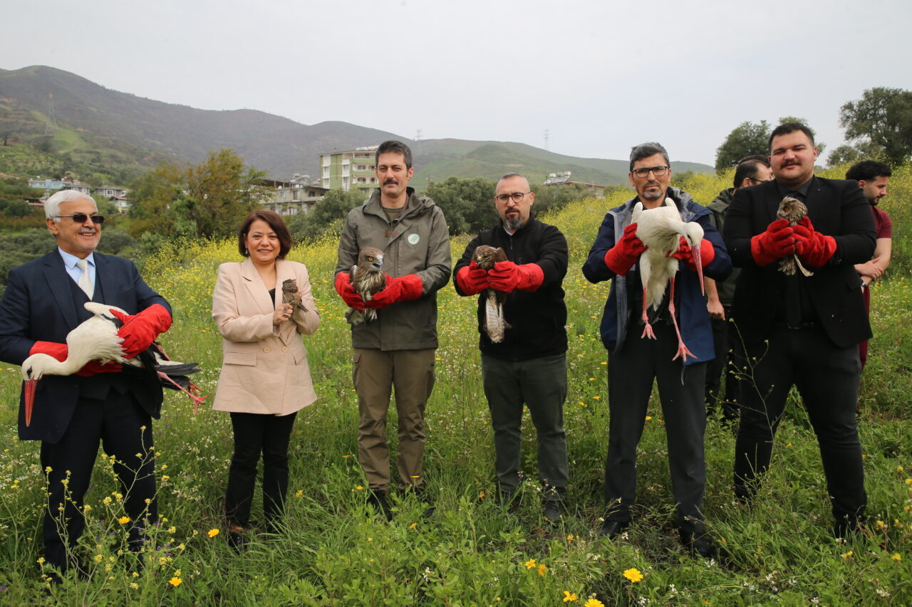 HATAY (AA) – Hatay'da yaralı ve güçten düşmüş halde bulunan