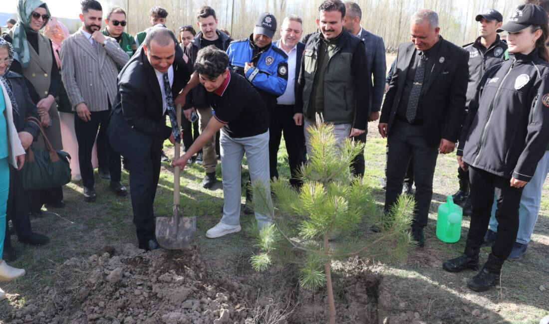 IĞDIR (AA) – Iğdır Valisi Mustafa Fırat Taşolar, kendisine CİMER