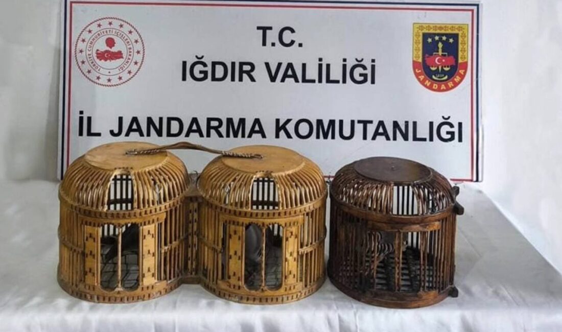IĞDIR (AA) – Iğdır'da kaçak olarak yabani keklik avlayan 3