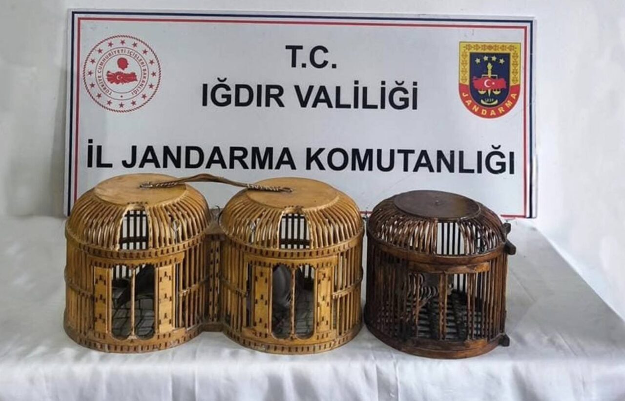 IĞDIR (AA) – Iğdır'da kaçak olarak yabani keklik avlayan 3