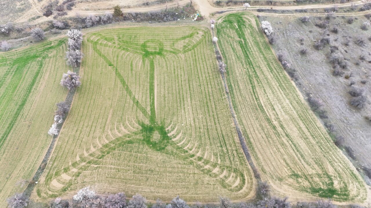 ISPARTA (AA) – Isparta'nın Yalvaç ilçesinde arpa ve buğday tarlalarında,