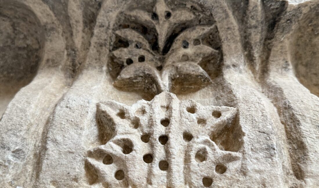 - Tarih Kültür Araştırma Derneği Başkanı Bekir Manav:
- "Bu medreselerde