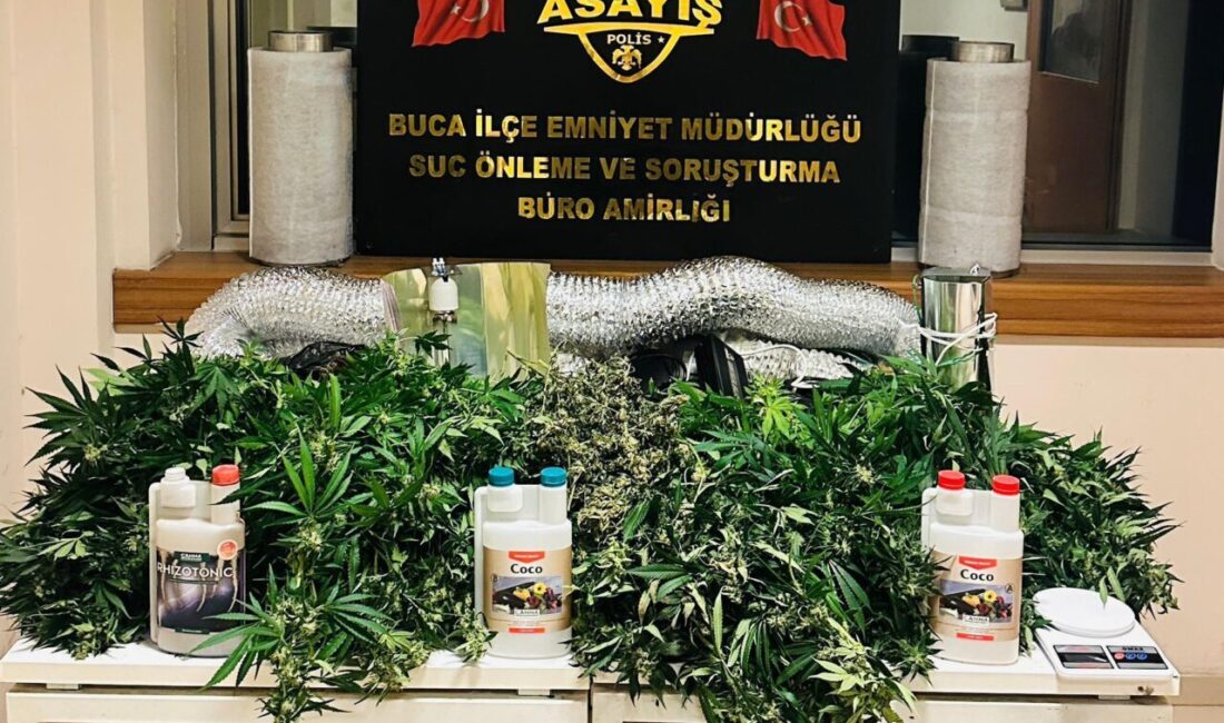 İZMİR (AA) – İzmir'in Buca ilçesinde bir evde uyuşturucu yetiştirdikleri