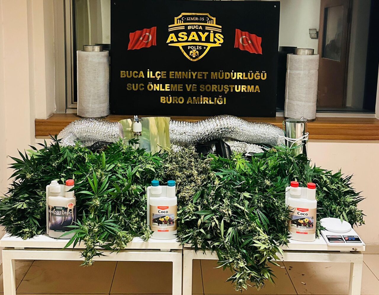 İZMİR (AA) – İzmir'in Buca ilçesinde bir evde uyuşturucu yetiştirdikleri