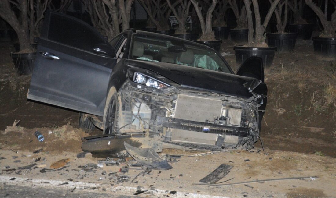 İZMİR (AA) – İzmir'in Ödemiş ilçesinde hafif ticari araç, otomobil