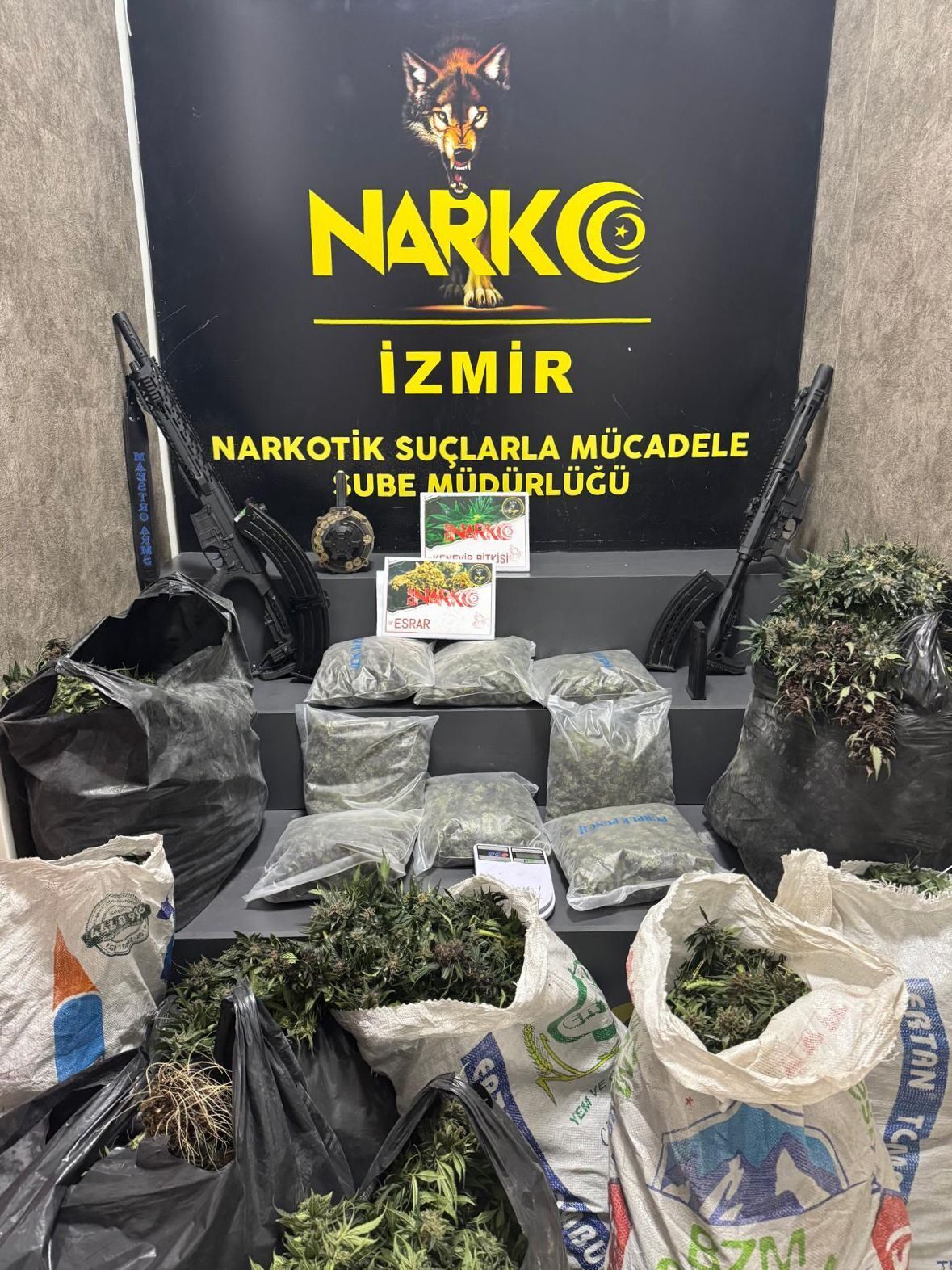 İZMİR (AA) – İzmir'in Aliağa ilçesinde uyuşturucu üretmek için sera